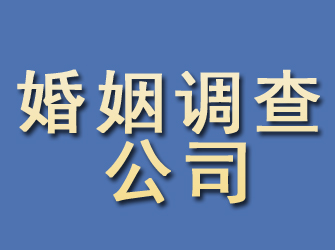 陆河婚姻调查公司