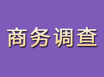 陆河商务调查